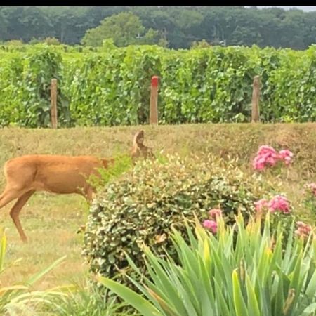 ThauvenayAvre De Paix Sancerroisアパートメント エクステリア 写真