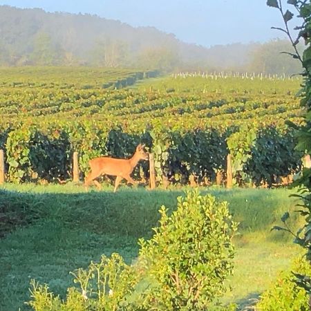 ThauvenayAvre De Paix Sancerroisアパートメント エクステリア 写真